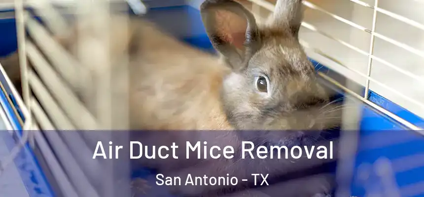Air Duct Mice Removal San Antonio - TX