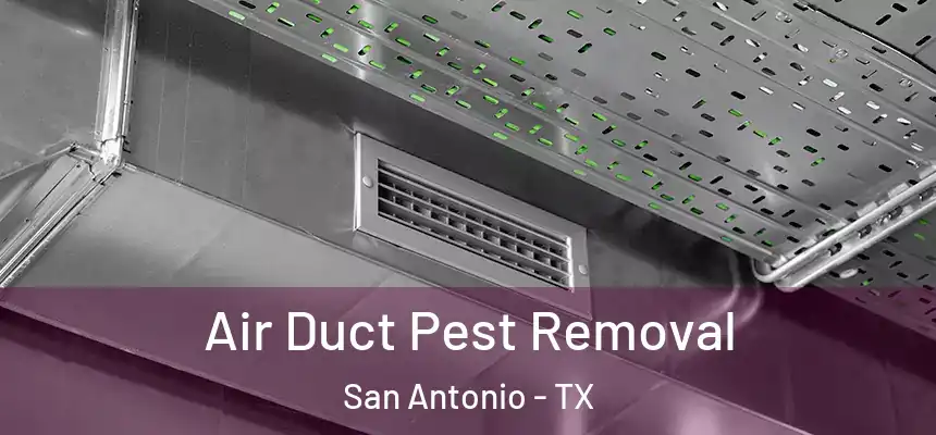 Air Duct Pest Removal San Antonio - TX