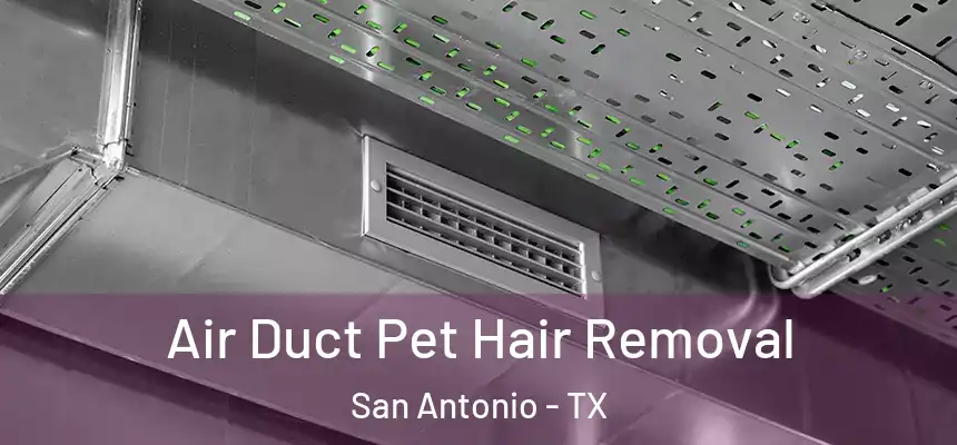 Air Duct Pet Hair Removal San Antonio - TX