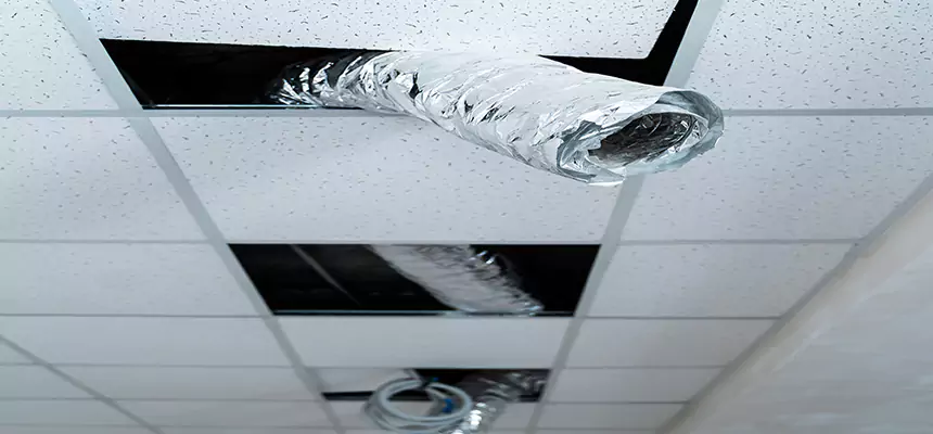 Our Air Duct Pet Hair Removal Services in San Antonio, TX