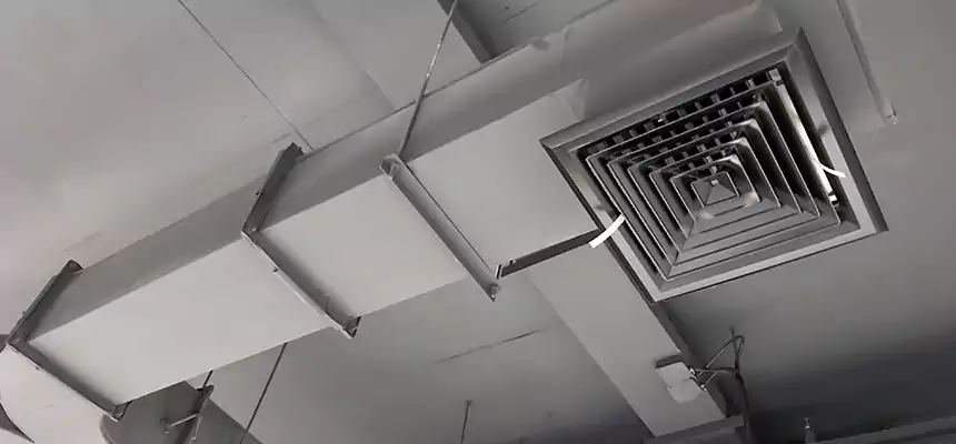 Restorative Allergy Relief Vent Cleaning – Coil, Blower & Housing Detail in San Antonio