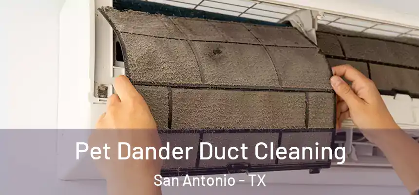 Pet Dander Duct Cleaning San Antonio - TX