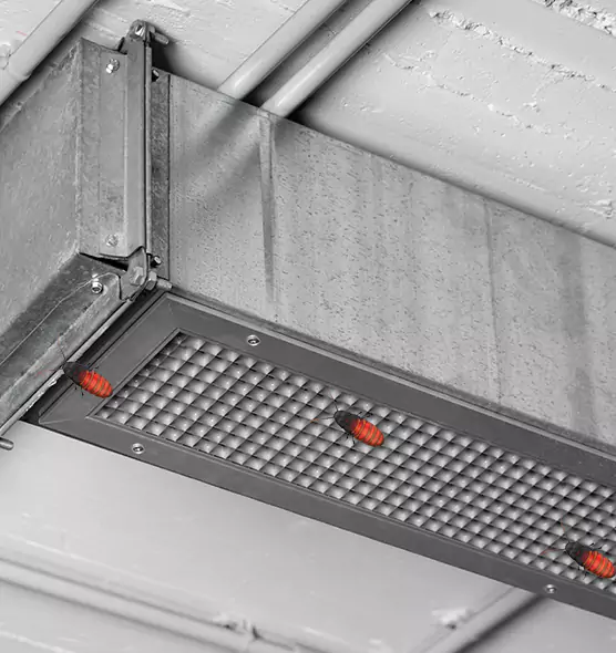 About Air Duct Cockroach Removal in San Antonio, TX