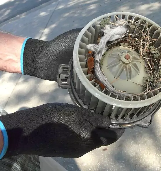 About Air Duct Mice Removal in San Antonio, TX