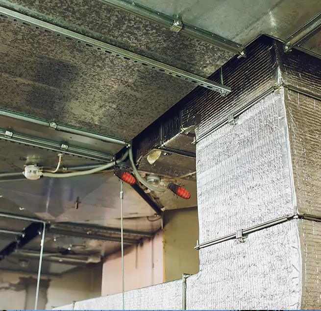 Why Homeowners & Businesses Trust Us in San Antonio, TX?