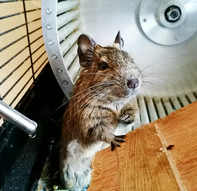 Why Homeowners & Businesses Trust Us San Antonio, TX?