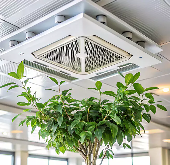 Why Homeowners & Businesses Trust Us in San Antonio, TX?