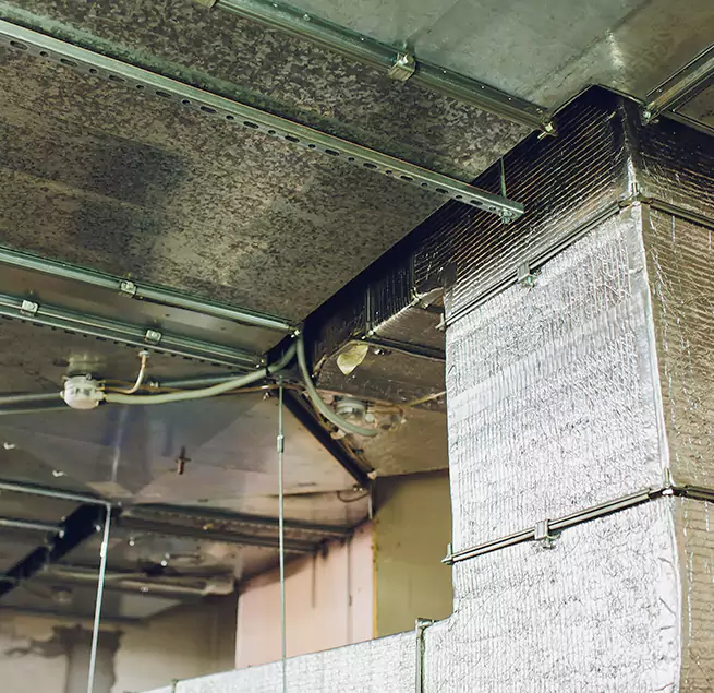 Why Homeowners & Businesses Trust Us in San Antonio, TX?